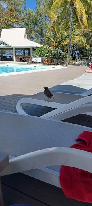 Pool Le Peninsula Bay Beach Resort & Spa