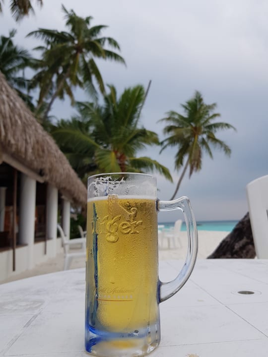 Gastro Fihalhohi Maldives