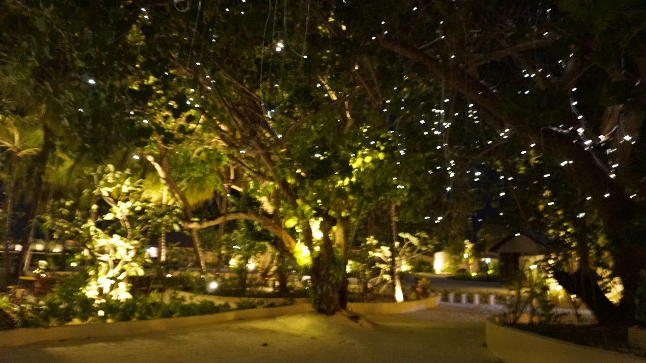 Sternenhimmel in den Bäumen Centara Ras Fushi Resort & Spa Maldives