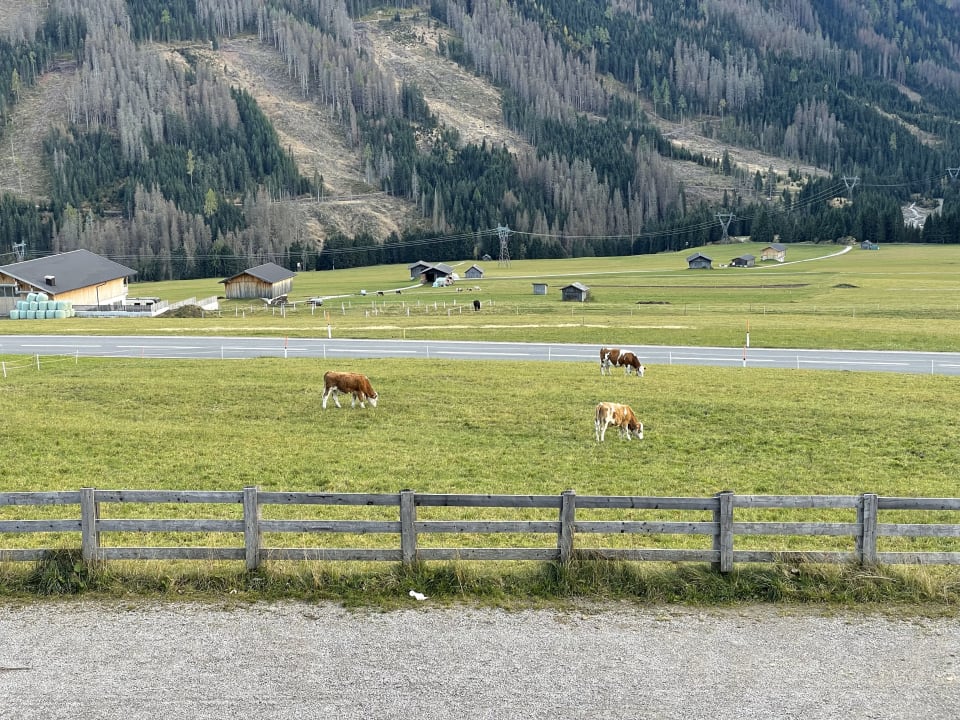 Ausblick Almfamilyhotel Scherer