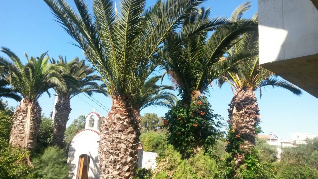 Kapelle Lili Hotel