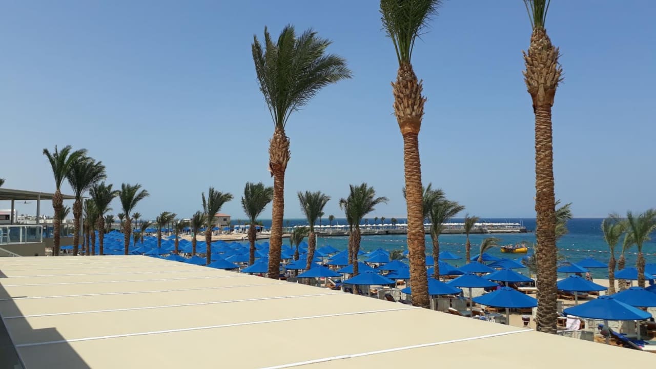 Ausblick Beach Albatros Resort