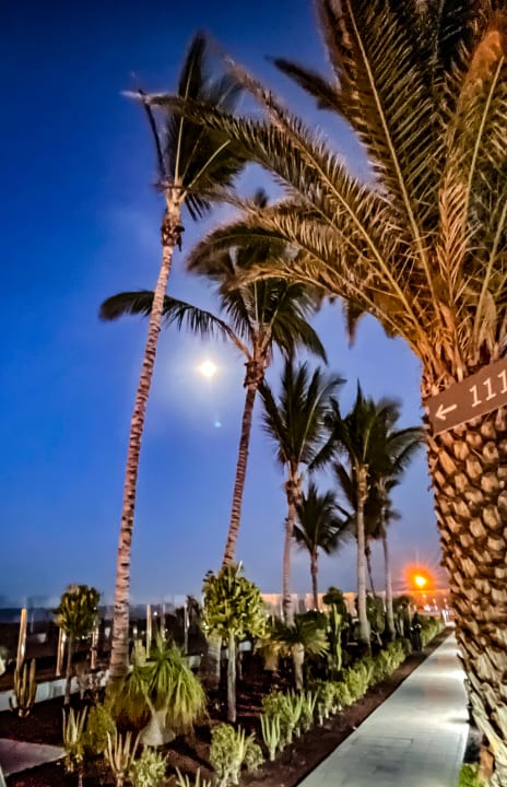 Gartenanlage Hotel Las Costas