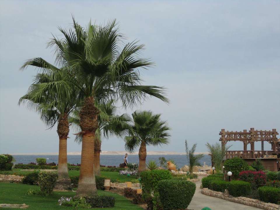 Blick zum Roten Meer Charmillion Sea Life Resort