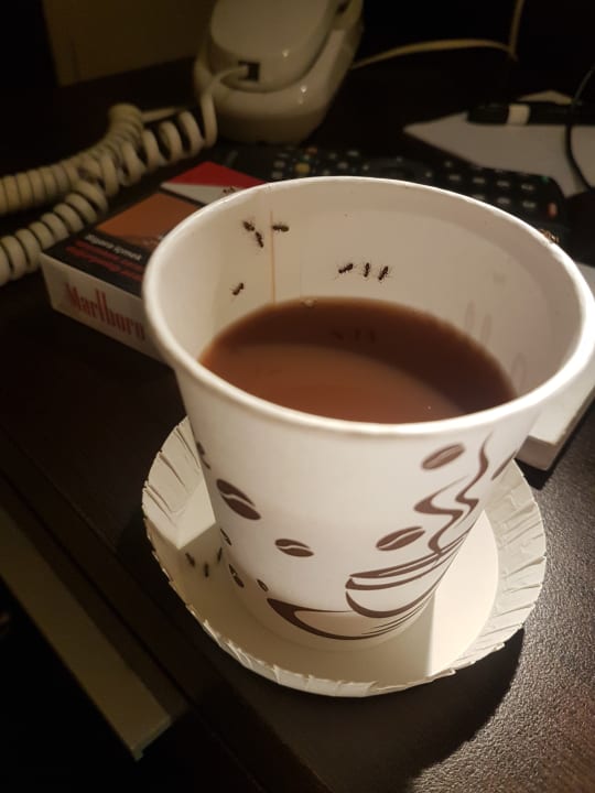 Zimmer Asteria Collection Side