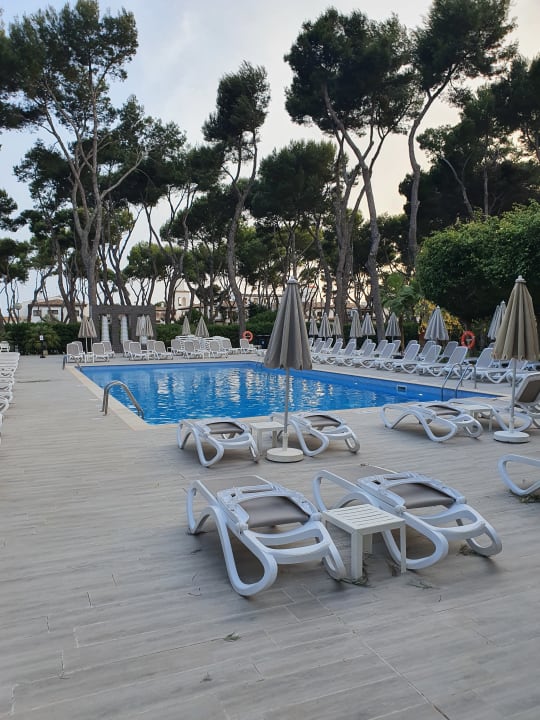 Pool Hotel Riu Festival