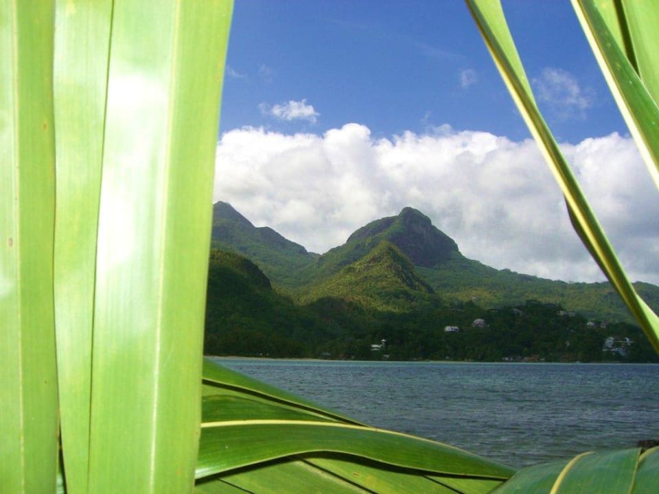 Südstrand Constance Ephelia
