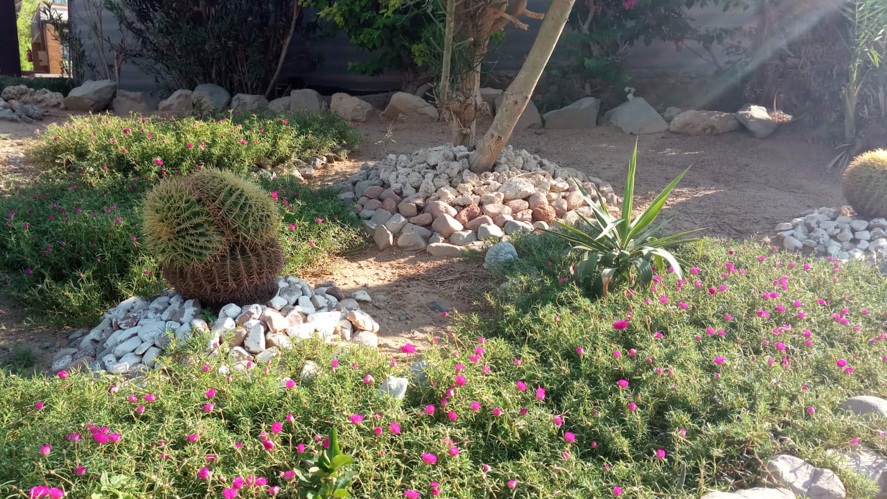 Gartenanlage Regina Resort and Aqua Park Hurghada