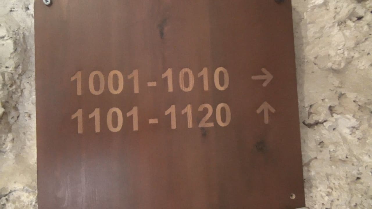 Zimmer Pickalbatros Citadel Resort