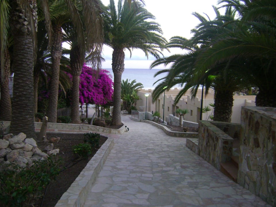 Weg zum Strand SBH Monica Beach Resort