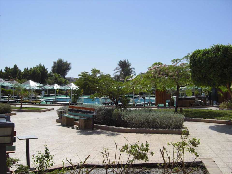 Anlage mit Blick auf den Pool Ghazala Beach