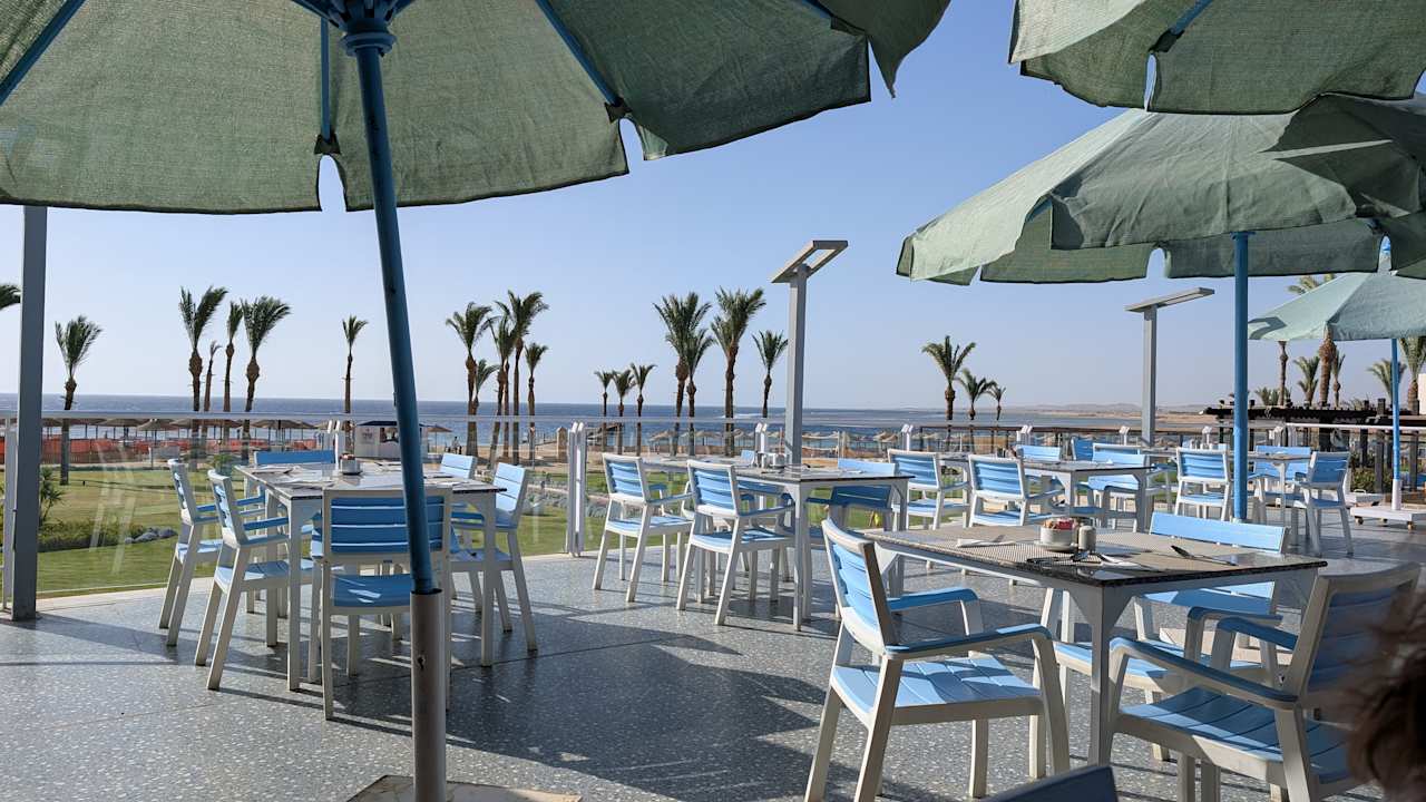 Gastro Pickalbatros Palace Hotel-Port Ghalib