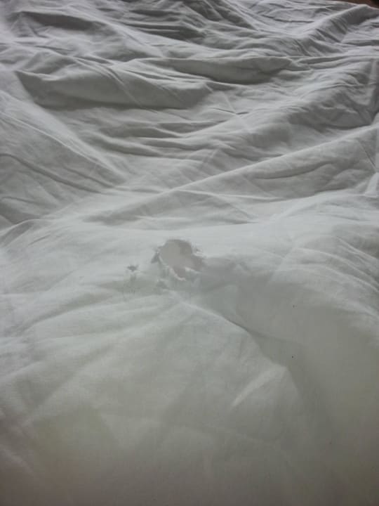 5 Sterne Bettwäsche Zimmer 3305 Seaden Sea World Resort & Spa