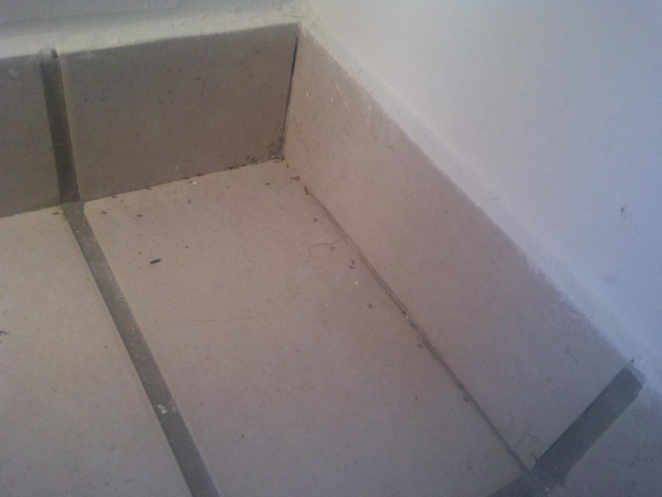 Ameisen Mitsis Rodos Village