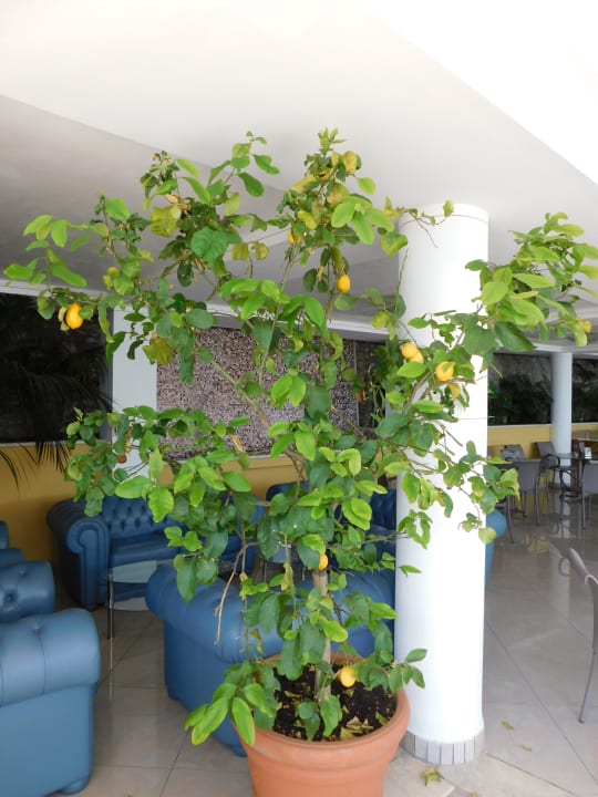 Ausenbereich Villa Dirce