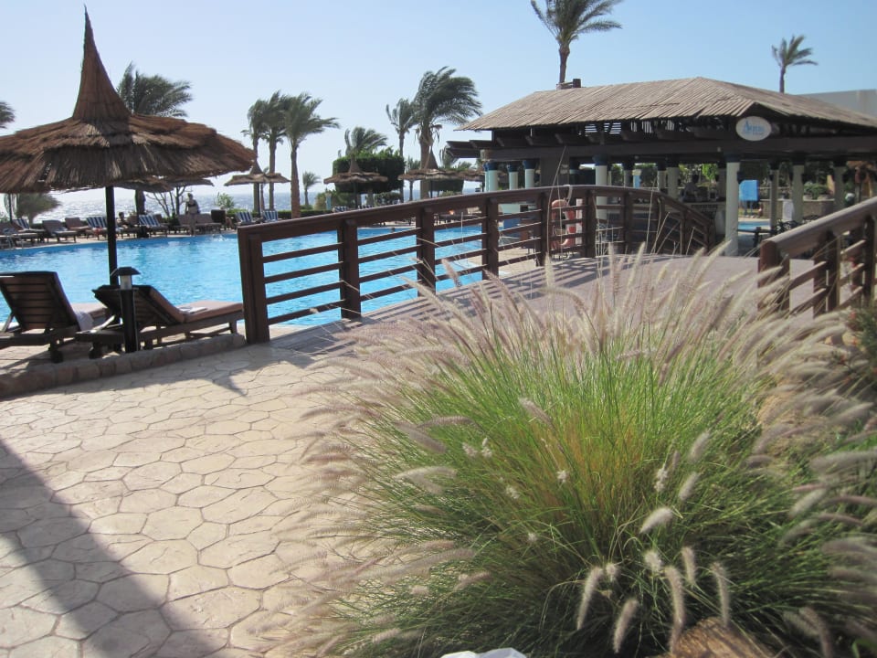 Pool mit Strandbar Renaissance Sharm El Sheikh Golden View Beach Resort