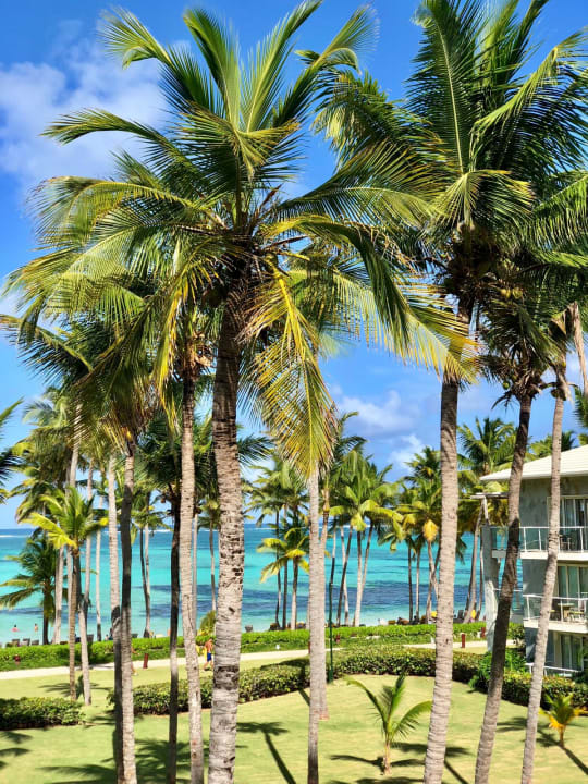Strand Barceló Bávaro Palace