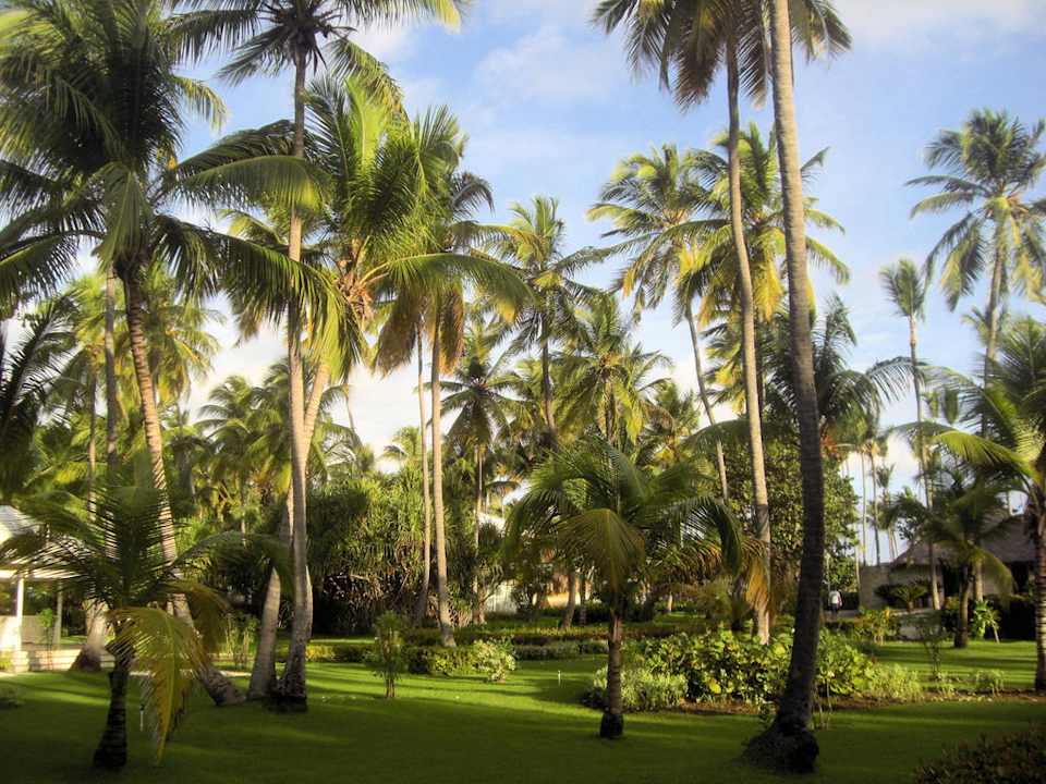 Anlage  Hotel Grand Palladium Palace Resort, Spa & Casino