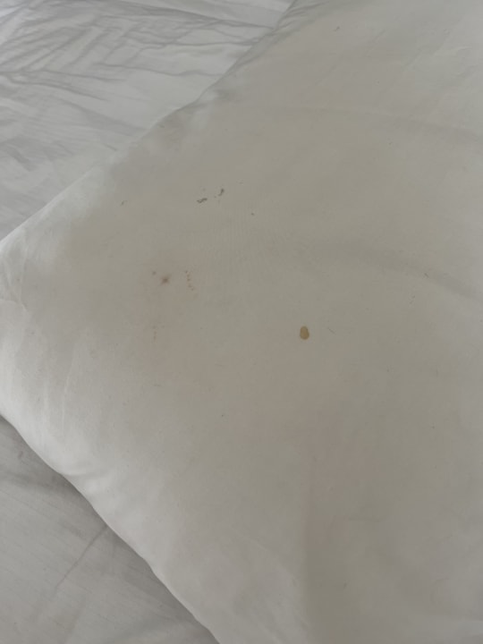 Zimmer Royal Star Beach Resort