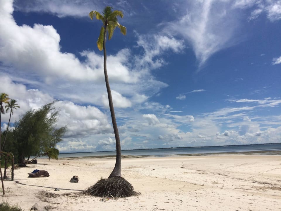 Spiaggia Karafuu Beach Resort & Spa