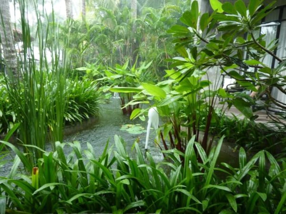 Villa - Teich vor dem Zimmer Hotel The Dewa Koh Chang