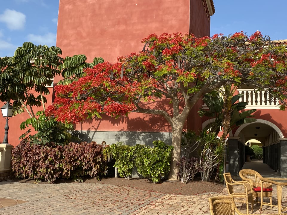 Gartenanlage R2 Rio Calma Hotel & Spa & Conference