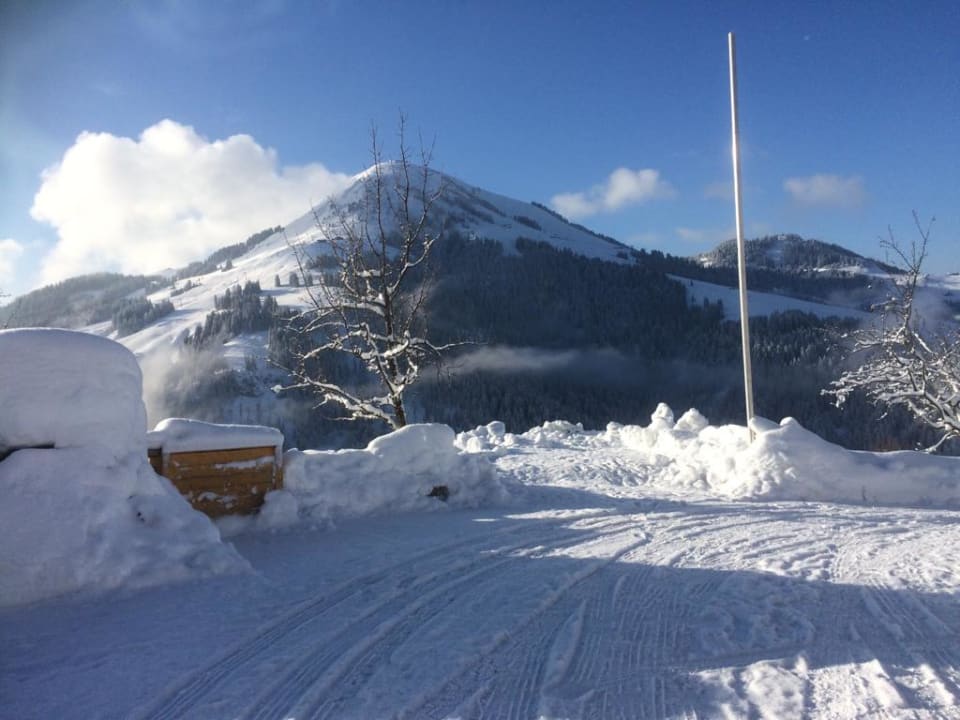 Ausblick Alpengasthof Hotel Gruberhof
