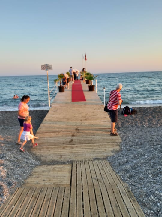 Strand Crystal Family Comfort Collection