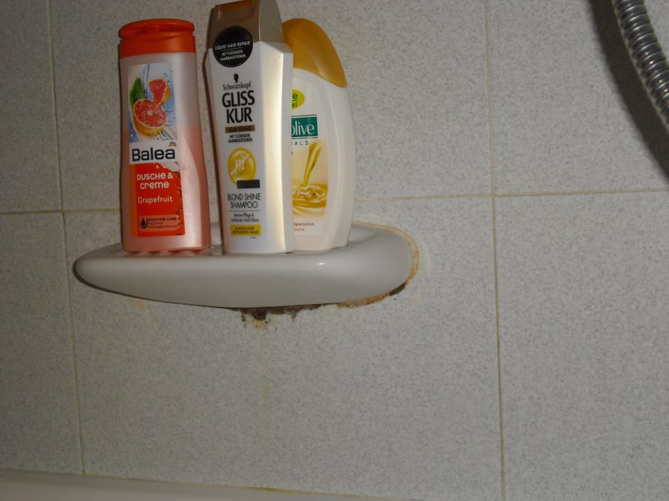 Schimmel unter der Ablage BG Hotel Rei del Mediterrani Palace