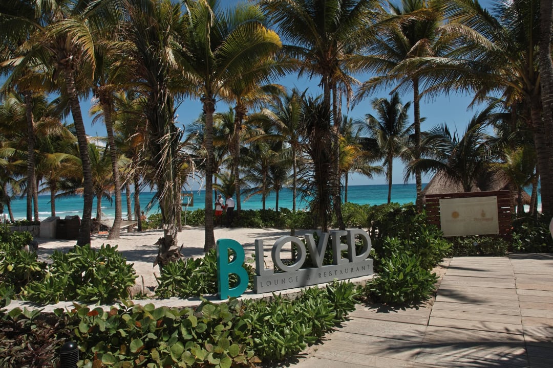 Traumstrand zur Mittagszeit Catalonia Royal Tulum Beach & Spa Resort - Adults only