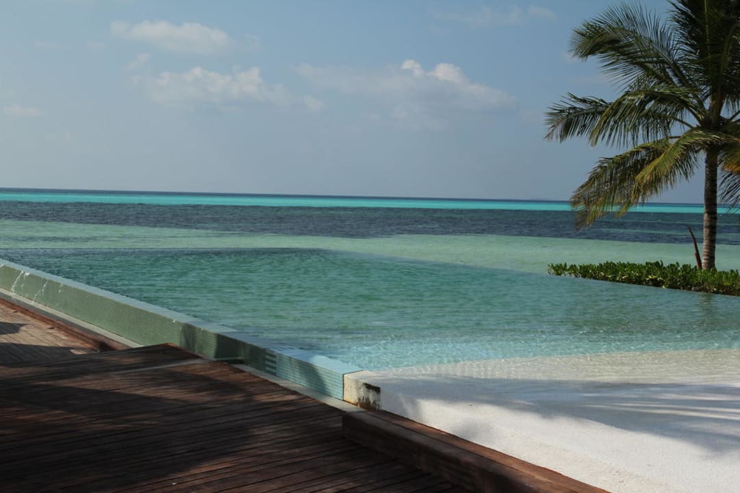 Infinity Pool  LUX South Ari Atoll