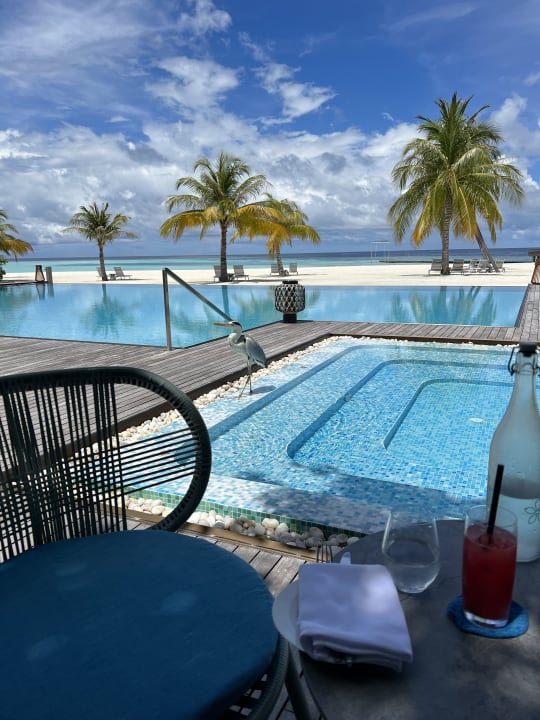 Gastro Outrigger Maldives Maafushivaru Resort