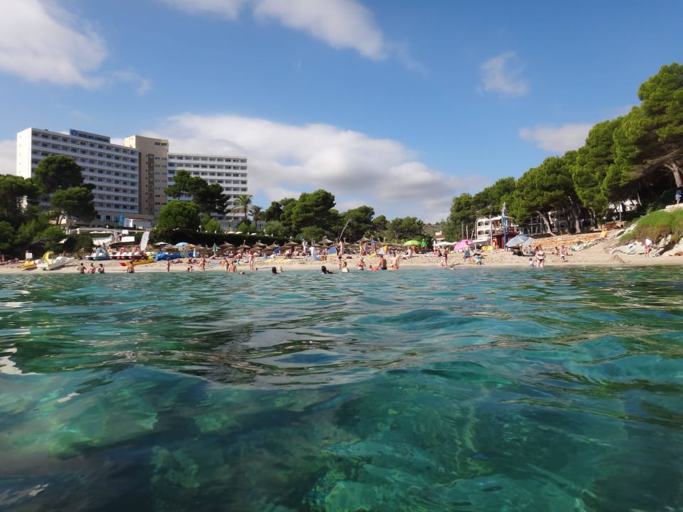 Vom Wasser auf den Strand Iberostar Waves Pinos Park