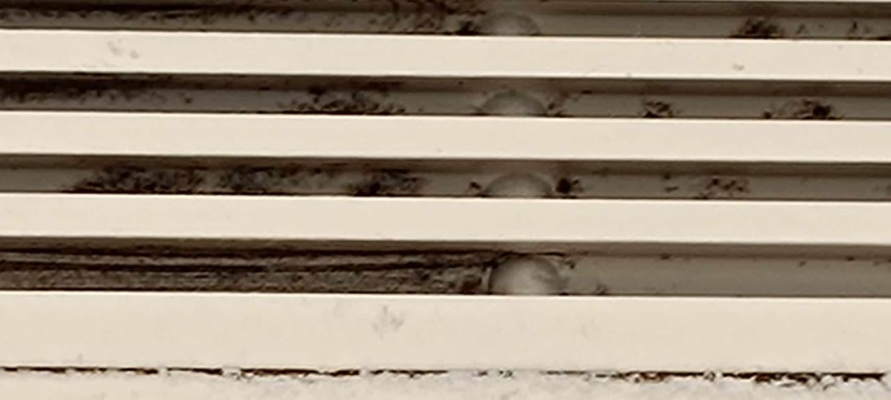 Zimmer allsun Hotel Bella Paguera