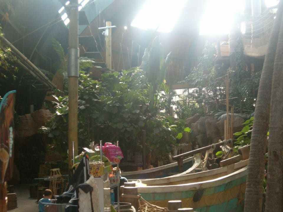 Discovery Bay Center Parcs De Vossemeren