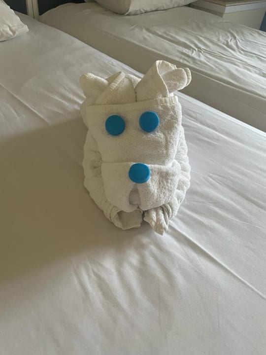 Zimmer Pickalbatros Sands Hotel - Port Ghalib