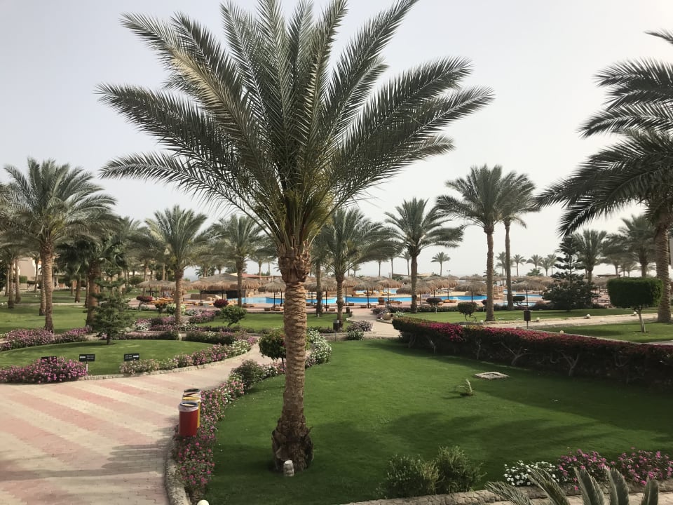 Gartenanlage Three Corners Sea Beach Resort