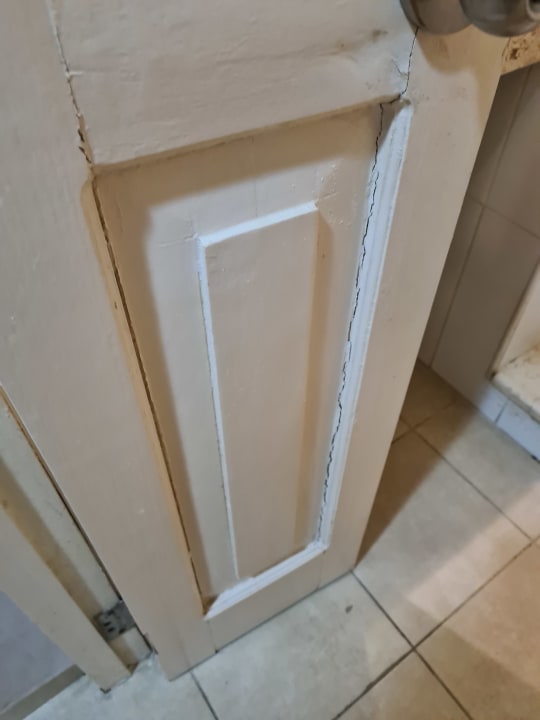 Zimmer Starfish Cuatro Palmas