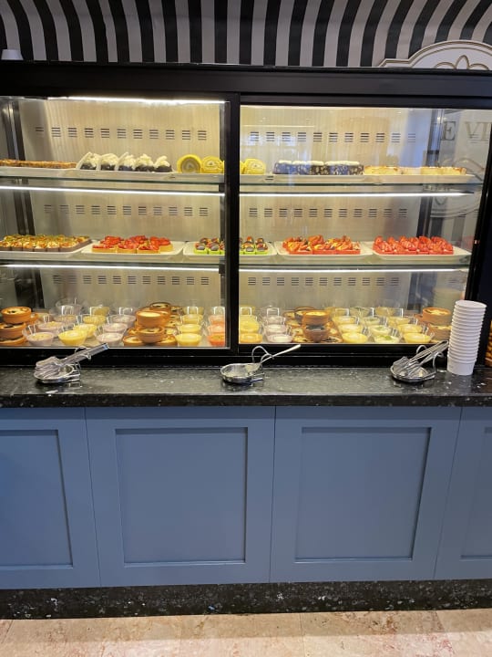 Gastro Papillon Belvil