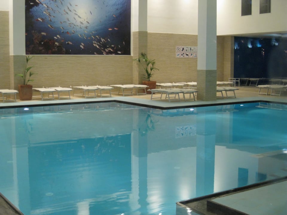 Pool Falkensteiner Family Hotel Diadora