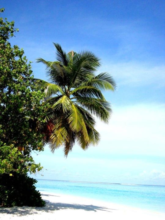 Rundgang um die Insel Meeru Maldives Resort Island