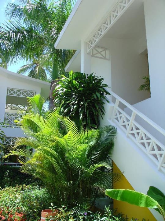 Bungalow Eingang Hotel Riu Palace Bavaro