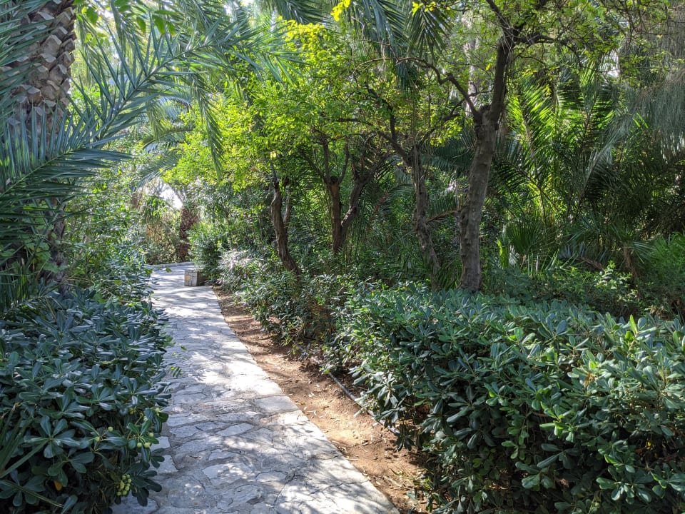 Gartenanlage Apollonia Beach Resort & Spa