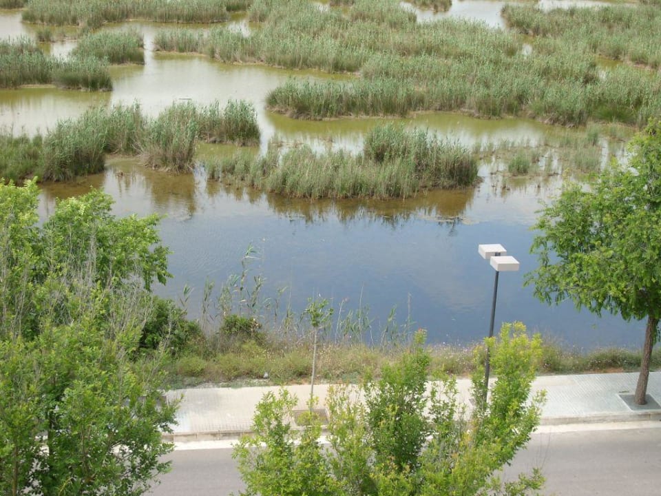 Aussicht nach hinten zum Alufera Gebiet Prinsotel La Dorada
