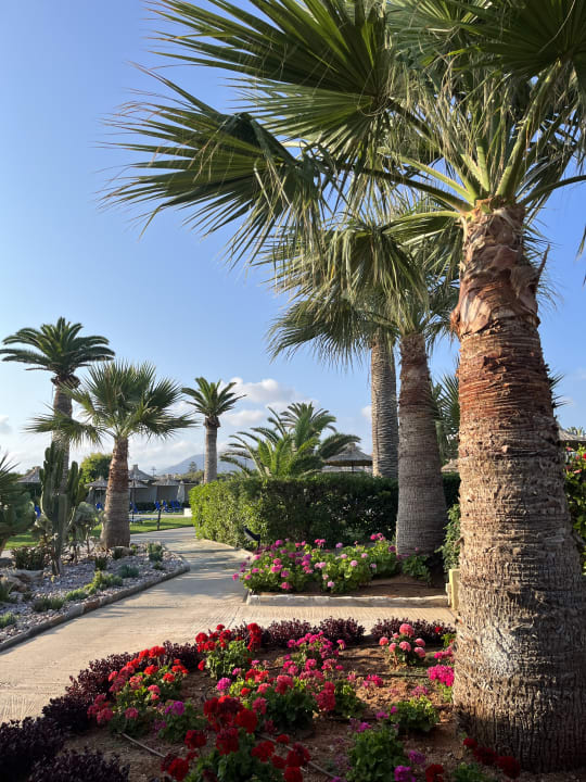 Gartenanlage Anissa Beach & Village