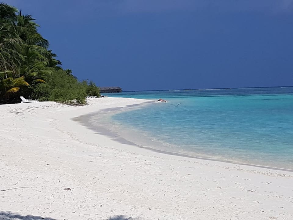 Strand Meeru Maldives Resort Island
