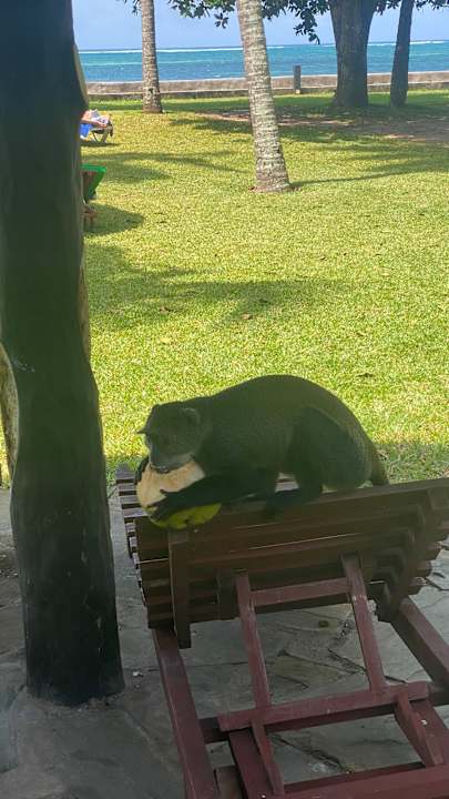 Gartenanlage Neptune Paradise Beach Resort & Spa