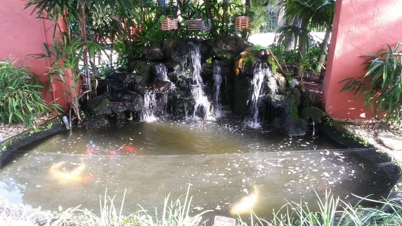 Ein kleiner Koi Teich am Eingang ins Hotel Sanibel Island Beach Resort