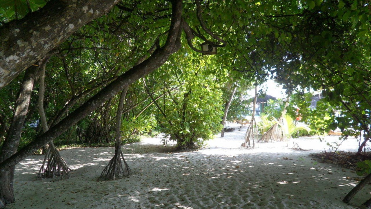 Inselweg NH Collection Maldives Reethi Resort