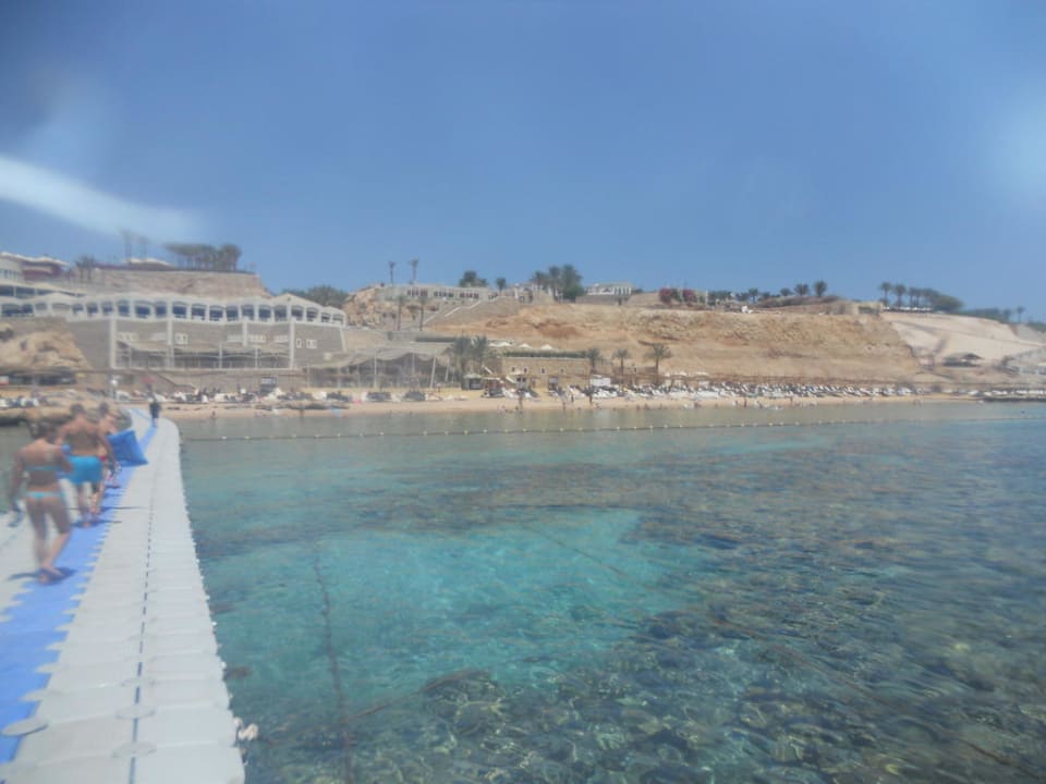 Der Strand vom Steg aus Hotel Reef Oasis Palms